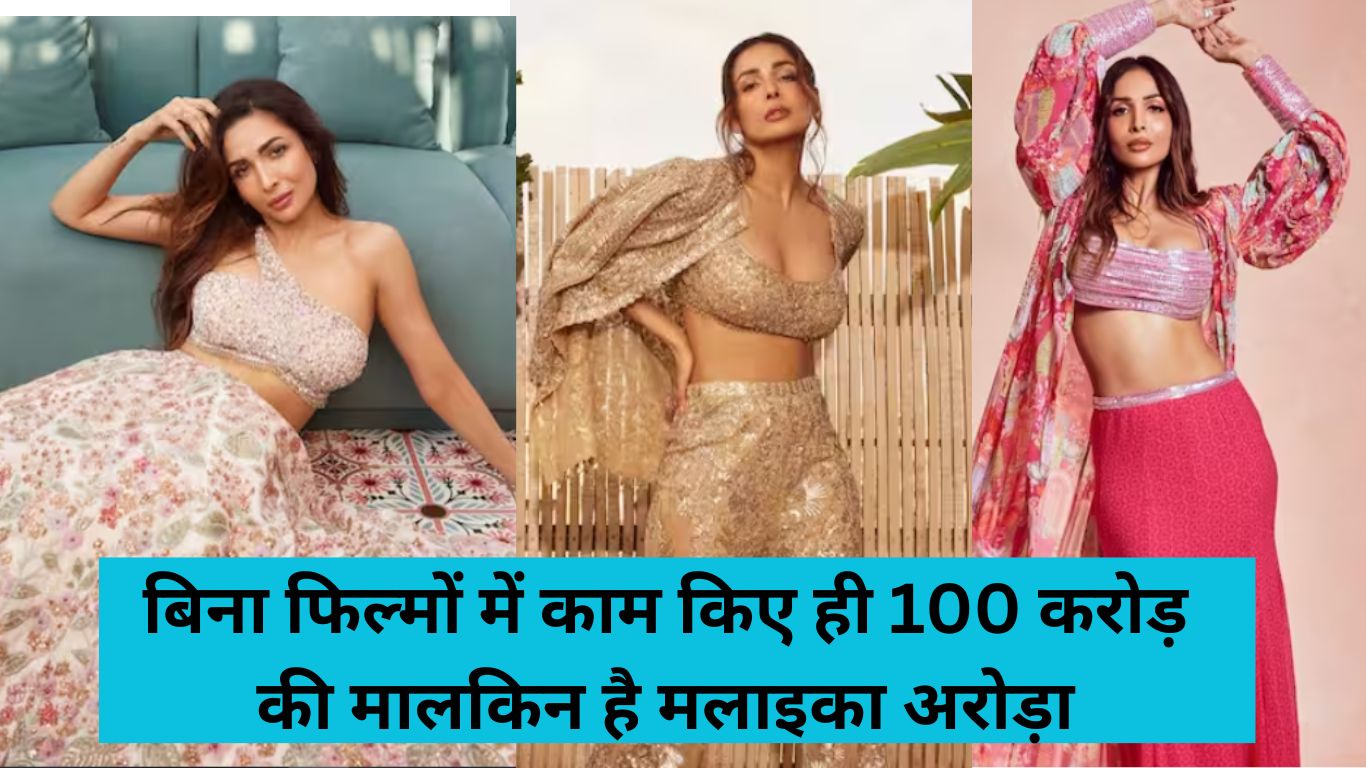 Malaika Arora Net Worth: Malaika Arora is the owner of Rs 100 crores without working in films, know from where she earns so much money