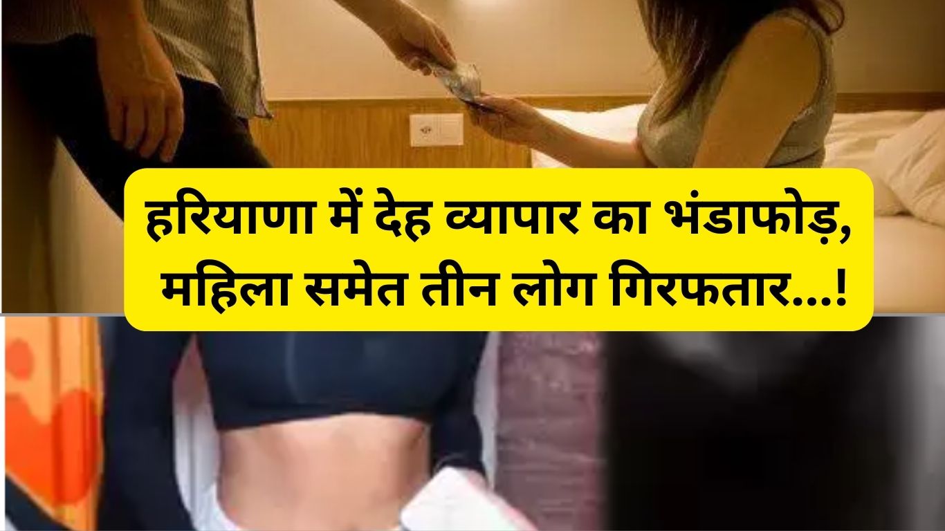 Haryana News: Prostitution busted, three people including woman arrested