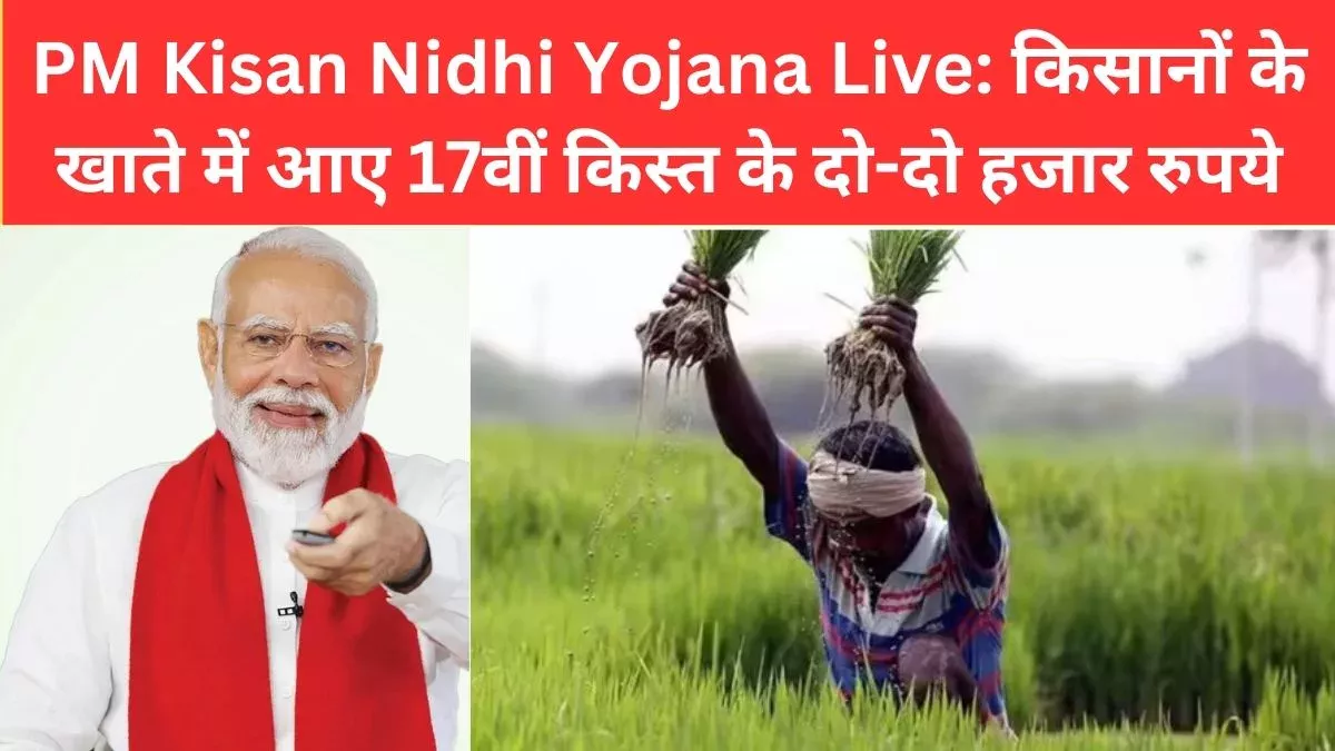 PM Kisan 17th Installment Status Live, PM Kisan Samman Nidhi Yojana, PM Kisan Yojana, PM Kisan Yojana 17th Installment 2024