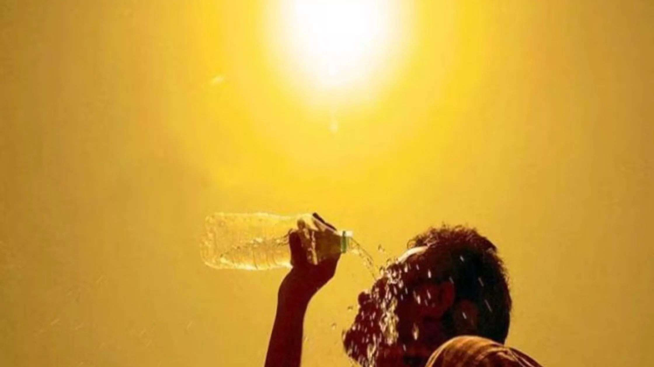 Haryana Weather Update, Heat Wave Red Alert In Haryana Weather Update News In Hindi