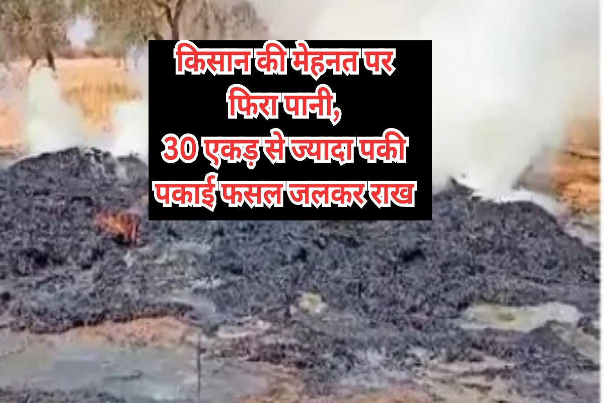 Haryana: More than 30 acres of ripe crops burnt to ashes, even fire brigade could not extinguish them